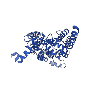 24482_7rja_T_v1-2
Complex III2 from Candida albicans, inhibitor free