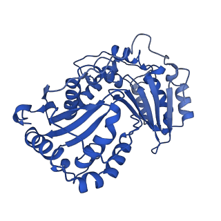 24483_7rjb_B_v1-2
Complex III2 from Candida albicans, inhibitor free, Rieske head domain in b position