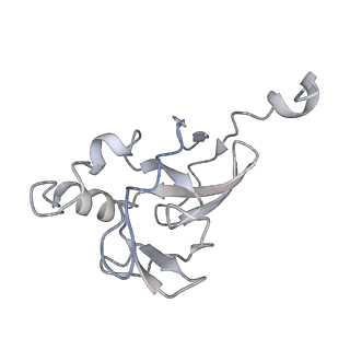 24483_7rjb_E_v1-2
Complex III2 from Candida albicans, inhibitor free, Rieske head domain in b position