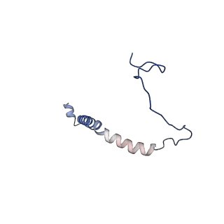 24483_7rjb_F_v1-2
Complex III2 from Candida albicans, inhibitor free, Rieske head domain in b position