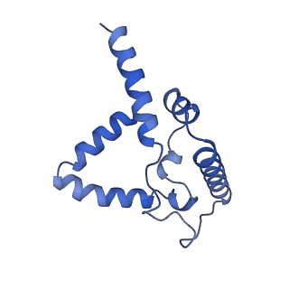 24483_7rjb_G_v1-2
Complex III2 from Candida albicans, inhibitor free, Rieske head domain in b position