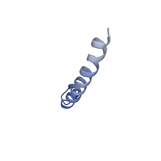 24483_7rjb_I_v1-2
Complex III2 from Candida albicans, inhibitor free, Rieske head domain in b position