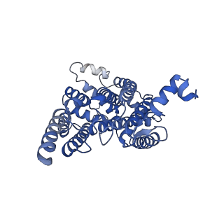 24483_7rjb_K_v1-2
Complex III2 from Candida albicans, inhibitor free, Rieske head domain in b position