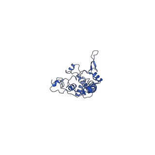 24484_7rjc_D_v1-2
Complex III2 from Candida albicans, inhibitor free, Rieske head domain in intermediate position