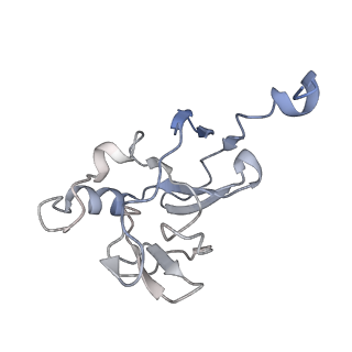 24484_7rjc_E_v1-2
Complex III2 from Candida albicans, inhibitor free, Rieske head domain in intermediate position
