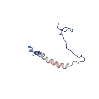 24484_7rjc_F_v1-2
Complex III2 from Candida albicans, inhibitor free, Rieske head domain in intermediate position