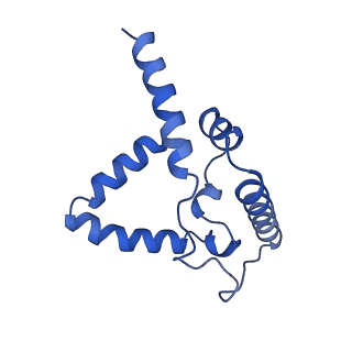 24484_7rjc_G_v1-2
Complex III2 from Candida albicans, inhibitor free, Rieske head domain in intermediate position