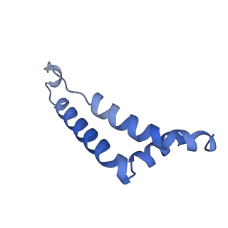 24484_7rjc_H_v1-2
Complex III2 from Candida albicans, inhibitor free, Rieske head domain in intermediate position