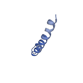 24484_7rjc_I_v1-2
Complex III2 from Candida albicans, inhibitor free, Rieske head domain in intermediate position