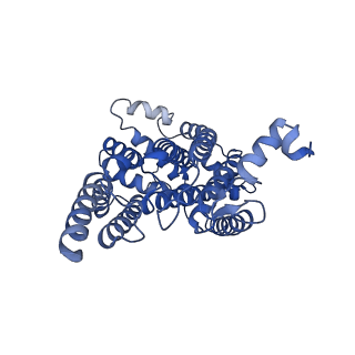24484_7rjc_K_v1-2
Complex III2 from Candida albicans, inhibitor free, Rieske head domain in intermediate position