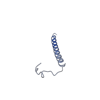 24484_7rjc_M_v1-2
Complex III2 from Candida albicans, inhibitor free, Rieske head domain in intermediate position