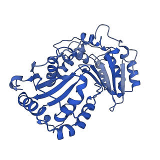 24485_7rjd_B_v1-2
Complex III2 from Candida albicans, inhibitor free, Rieske head domain in c position