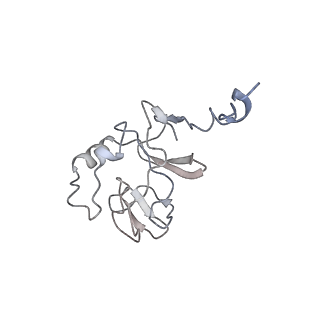 24485_7rjd_E_v1-2
Complex III2 from Candida albicans, inhibitor free, Rieske head domain in c position