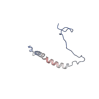 24485_7rjd_F_v1-2
Complex III2 from Candida albicans, inhibitor free, Rieske head domain in c position