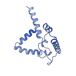 24485_7rjd_G_v1-2
Complex III2 from Candida albicans, inhibitor free, Rieske head domain in c position