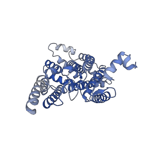 24485_7rjd_K_v1-2
Complex III2 from Candida albicans, inhibitor free, Rieske head domain in c position
