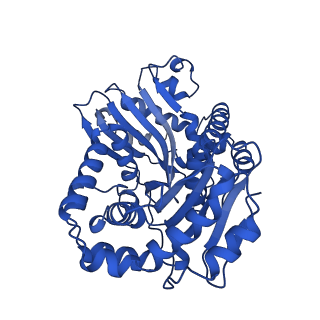 24486_7rje_A_v1-2
Complex III2 from Candida albicans, Inz-5 bound