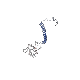 24486_7rje_C_v1-2
Complex III2 from Candida albicans, Inz-5 bound