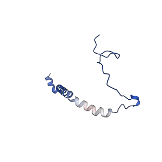 24486_7rje_F_v1-2
Complex III2 from Candida albicans, Inz-5 bound
