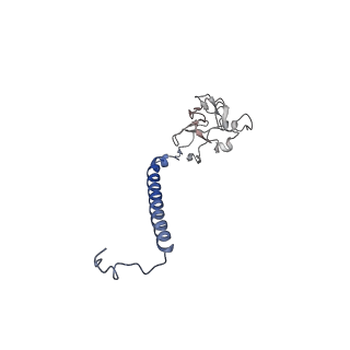 24486_7rje_M_v1-2
Complex III2 from Candida albicans, Inz-5 bound