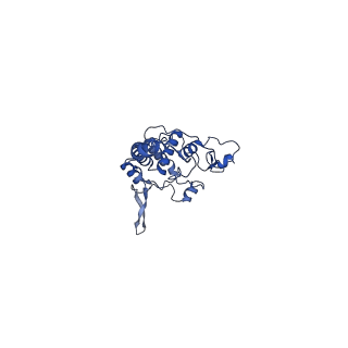 24486_7rje_N_v1-2
Complex III2 from Candida albicans, Inz-5 bound