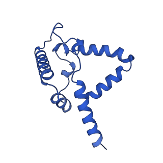 24486_7rje_P_v1-2
Complex III2 from Candida albicans, Inz-5 bound