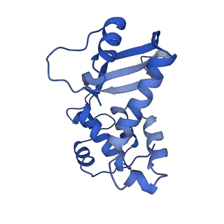 4900_6rj9_A_v1-5
Cryo-EM structure of St1Cas9-sgRNA-tDNA20-AcrIIA6 monomeric assembly.