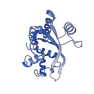 4900_6rj9_B_v1-5
Cryo-EM structure of St1Cas9-sgRNA-tDNA20-AcrIIA6 monomeric assembly.