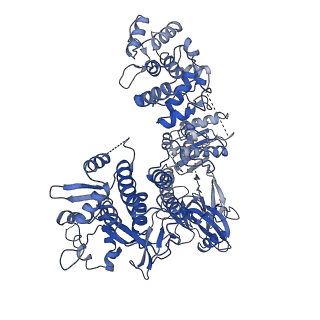 4900_6rj9_C_v1-5
Cryo-EM structure of St1Cas9-sgRNA-tDNA20-AcrIIA6 monomeric assembly.