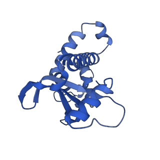 4901_6rja_A_v1-5
Cryo-EM structure of St1Cas9-sgRNA-tDNA20-AcrIIA6 dimeric assembly.