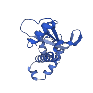 4901_6rja_B_v1-5
Cryo-EM structure of St1Cas9-sgRNA-tDNA20-AcrIIA6 dimeric assembly.