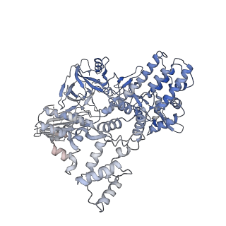 4901_6rja_C_v1-5
Cryo-EM structure of St1Cas9-sgRNA-tDNA20-AcrIIA6 dimeric assembly.