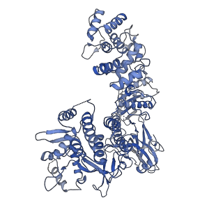 4902_6rjd_C_v1-3
Cryo-EM structure of St1Cas9-sgRNA-tDNA59-ntPAM complex.
