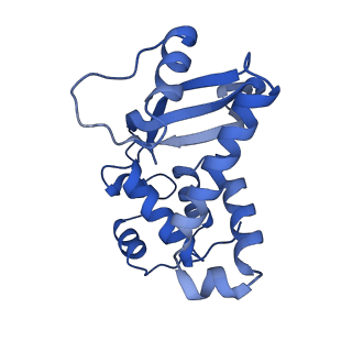 4904_6rjg_A_v1-3
Cryo-EM structure of St1Cas9-sgRNA-AcrIIA6-tDNA59-ntPAM complex.