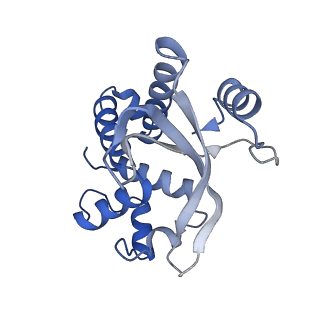 4904_6rjg_B_v1-3
Cryo-EM structure of St1Cas9-sgRNA-AcrIIA6-tDNA59-ntPAM complex.