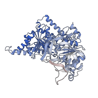 24497_7rkh_A_v1-0
Yeast CTP Synthase (URA8) tetramer bound to ATP/UTP at neutral pH