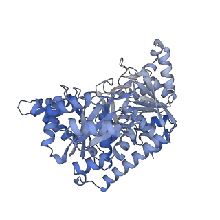 24497_7rkh_B_v1-0
Yeast CTP Synthase (URA8) tetramer bound to ATP/UTP at neutral pH