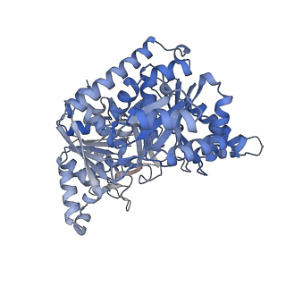 24497_7rkh_D_v1-0
Yeast CTP Synthase (URA8) tetramer bound to ATP/UTP at neutral pH