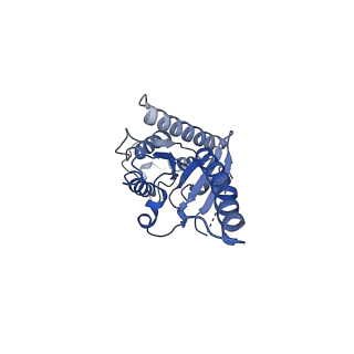 24501_7rkn_A_v1-0
Structure of CX3CL1-US28-Gi-scFv16 in OC-state