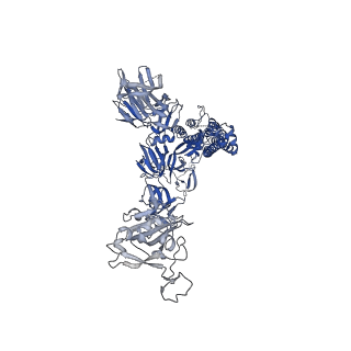 24504_7rkv_A_v1-2
Structure of the SARS-CoV-2 S 6P trimer in complex with neutralizing antibody C118 (State 1)