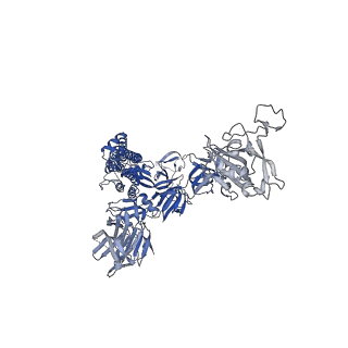 24504_7rkv_B_v1-2
Structure of the SARS-CoV-2 S 6P trimer in complex with neutralizing antibody C118 (State 1)