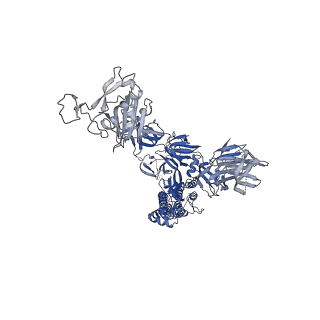 24504_7rkv_C_v1-2
Structure of the SARS-CoV-2 S 6P trimer in complex with neutralizing antibody C118 (State 1)