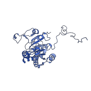 4907_6rkd_A_v1-0
Molybdenum storage protein under turnover conditions