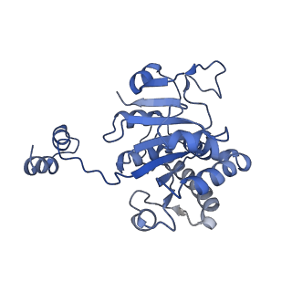 4907_6rkd_B_v1-0
Molybdenum storage protein under turnover conditions