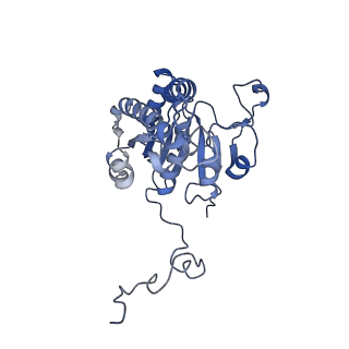 4907_6rkd_C_v1-0
Molybdenum storage protein under turnover conditions
