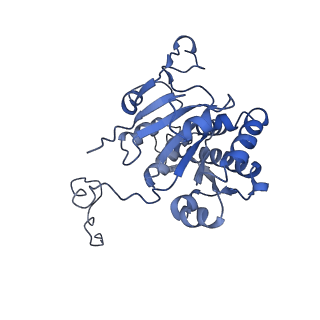 4907_6rkd_I_v1-0
Molybdenum storage protein under turnover conditions