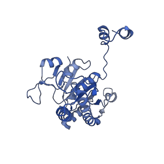 4907_6rkd_J_v1-0
Molybdenum storage protein under turnover conditions