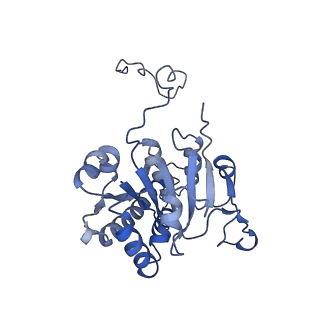 4907_6rkd_K_v1-0
Molybdenum storage protein under turnover conditions