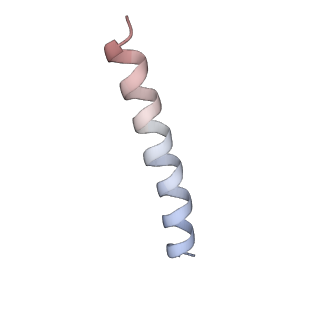 4908_6rko_H_v1-3
Cryo-EM structure of the E. coli cytochrome bd-I oxidase at 2.68 A resolution