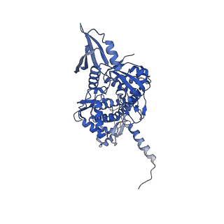 4909_6rks_A_v1-3
E. coli DNA Gyrase - DNA binding and cleavage domain in State 1 without TOPRIM insertion